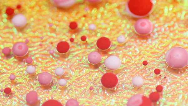 Что будет, если в составе крови не было бы лейкоцитов? Что будет, если в составе крови не было бы лейкоцитов?